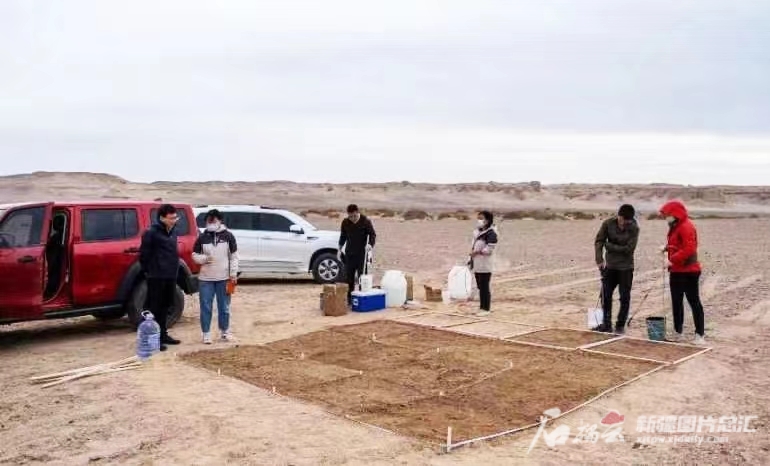 沙州马拉松_沙城马拉松_沙州马拉松