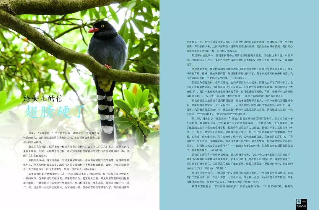 智慧生活育儿百科全书_百科全书育儿智慧生活答案_百科育儿知识库