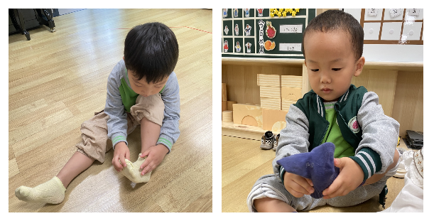 生活小技能卷袜子_卷袜子教案_生活活动卷袜子