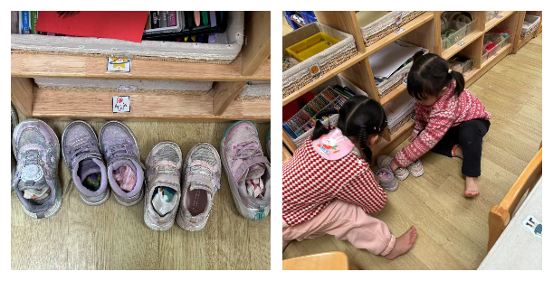 生活小技能卷袜子_卷袜子教案_生活活动卷袜子