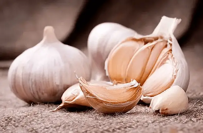 粘锅有什么办法_生活小窍门炒菜不粘锅_做菜粘锅